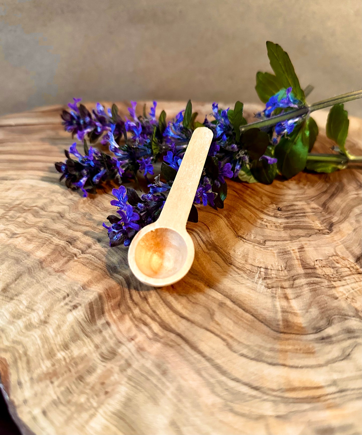 Mini Wooden Spoons